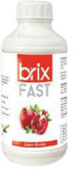 Brix Fast