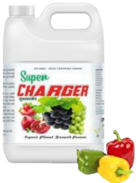 Super Charger