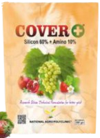 Cover +