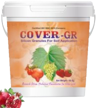 Cover-GR