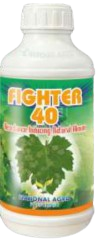 Fighter 40
