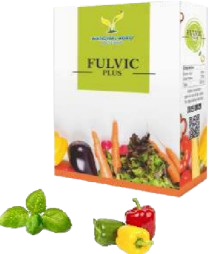 Fulvic Plus