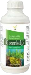 Greenkelp