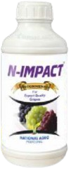 N-Impact