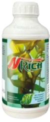 N-Rich