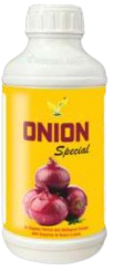 Onion Special