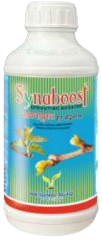 Synaboost