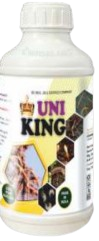 Uni King