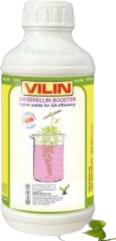 Vilin